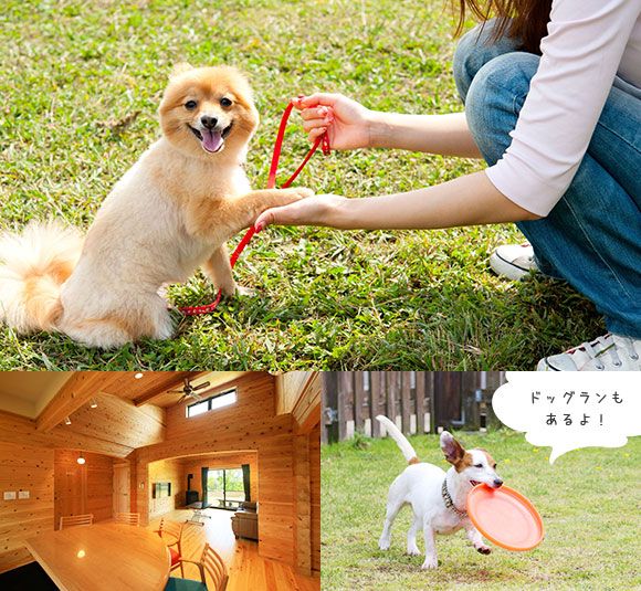 ペットの宿泊について