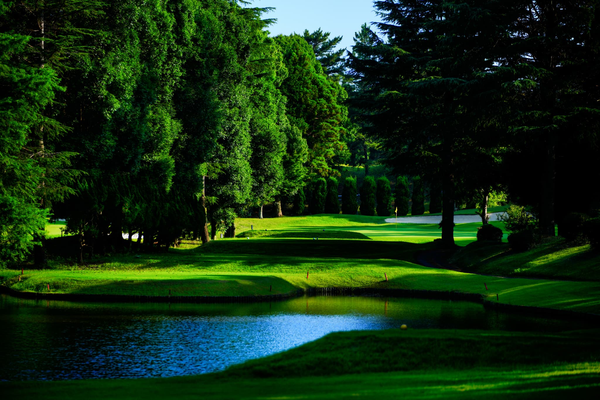 STAGING-本千葉カントリークラブ ナビゲーション写真