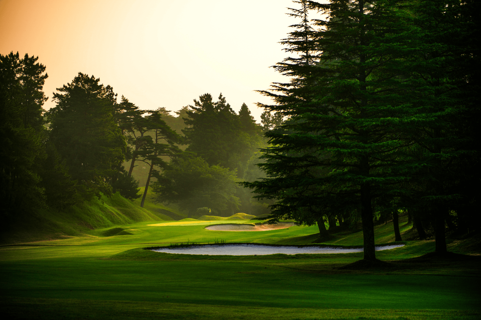 STAGING-本千葉カントリークラブ ナビゲーション写真